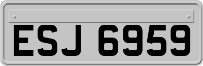 ESJ6959