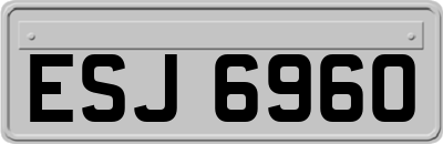 ESJ6960