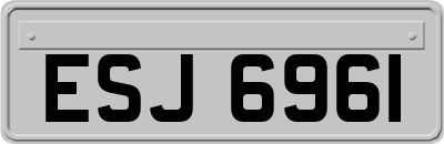 ESJ6961