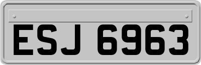 ESJ6963