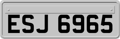 ESJ6965