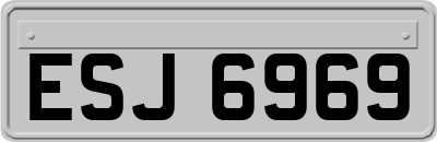 ESJ6969