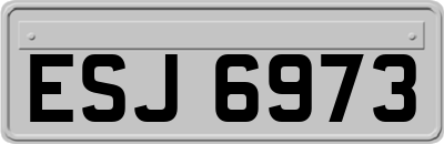ESJ6973