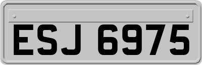 ESJ6975