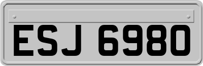 ESJ6980