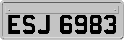 ESJ6983