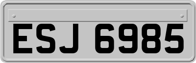ESJ6985