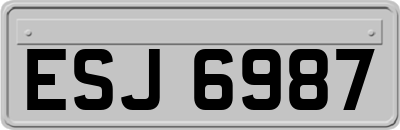 ESJ6987
