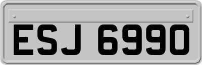 ESJ6990