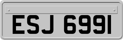 ESJ6991