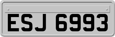 ESJ6993