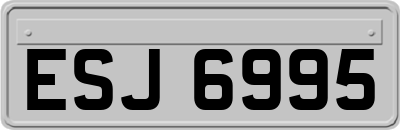 ESJ6995