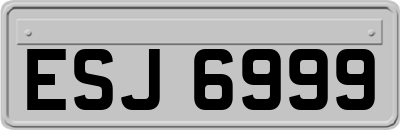 ESJ6999
