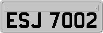ESJ7002
