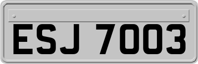 ESJ7003