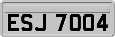 ESJ7004