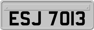 ESJ7013