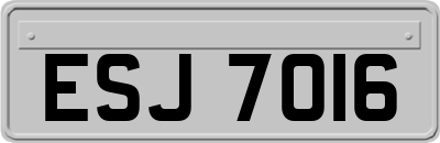 ESJ7016