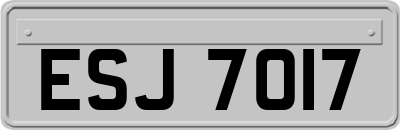 ESJ7017
