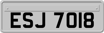 ESJ7018