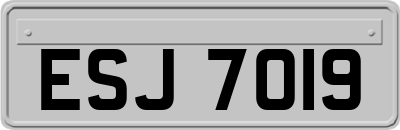 ESJ7019