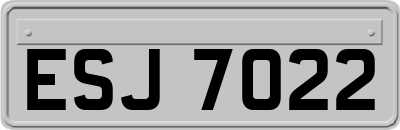 ESJ7022