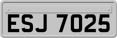 ESJ7025