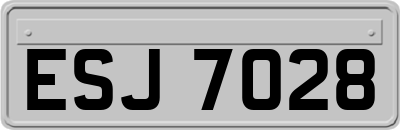 ESJ7028