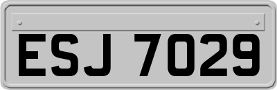 ESJ7029