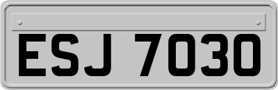 ESJ7030