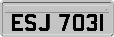 ESJ7031