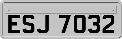 ESJ7032
