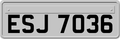 ESJ7036