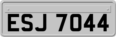ESJ7044