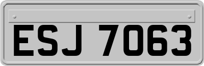 ESJ7063
