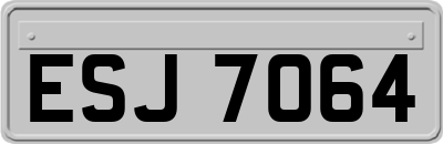 ESJ7064