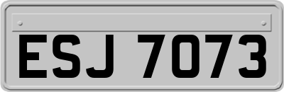 ESJ7073