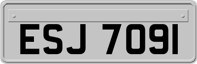 ESJ7091