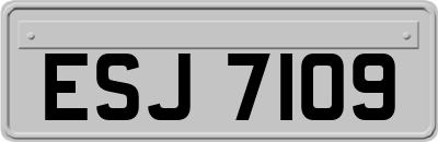 ESJ7109