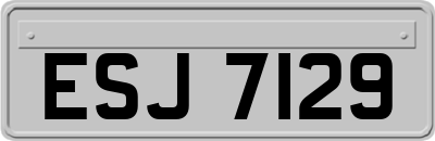 ESJ7129