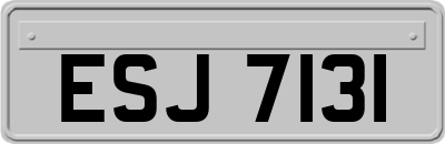 ESJ7131