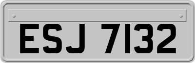 ESJ7132