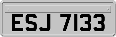 ESJ7133