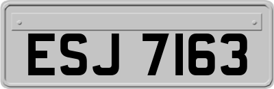 ESJ7163