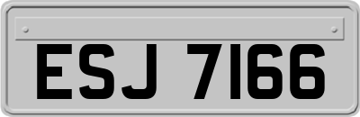 ESJ7166