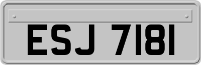 ESJ7181