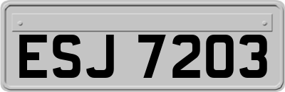 ESJ7203