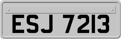 ESJ7213