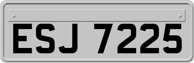 ESJ7225