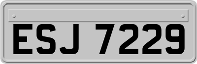 ESJ7229